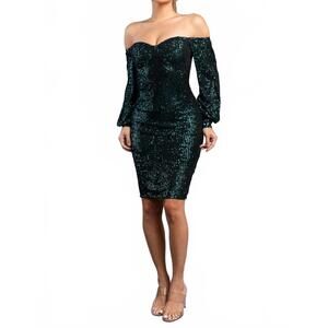 NEW PRIVY evening to remember dress in hunter green